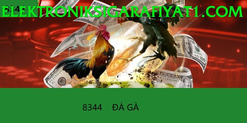 Đá Gà Trực Tiếp - va88