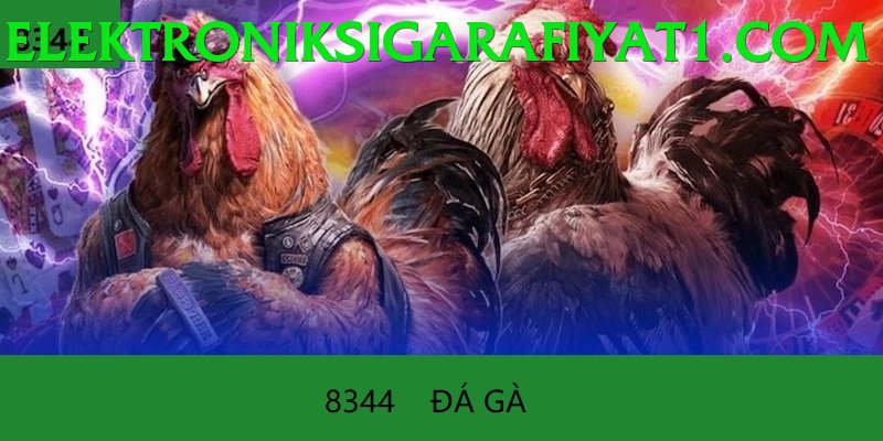 Đá Gà Trực Tiếp - Ưu đãi đặc biệt